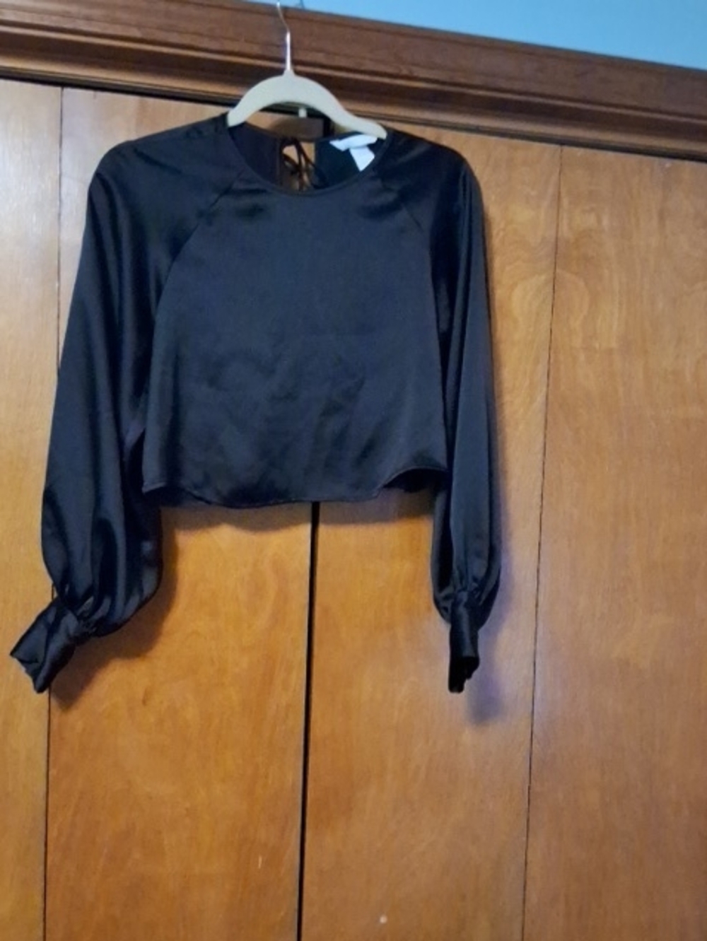 H&M Black Satin Long-Sleeve Cropped Top